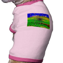 Pet Clothing