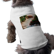 Pet Clothing Lime(Hidden Beauty)
