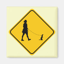 Pet Ferret Crossing Fridge Magnet