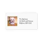 Pet  Label