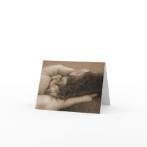 Pet Loss - Touch of an angel Cards
