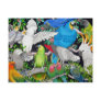 Pet Parrots of the World Postcard