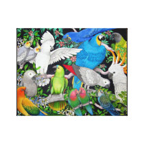 Pet Parrots of the World Wrapped Canvas Canvas Print
