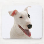 Pet Pete mousepads