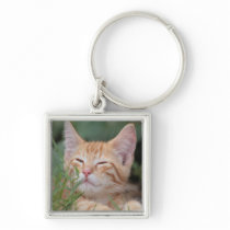 Pet Photo Key chain