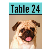 Pet Photo Table Number Cards | Custom Template