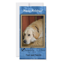 Pet Photo Template - Naughty or nice Personalized Photo Card