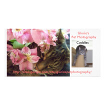 Pet Photography photo card advertisement