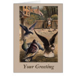 Pet Pigeons Greeting Young Girl on the Farm Cards