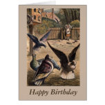 Pet Pigeons Young Girl on Farm Birthday Card