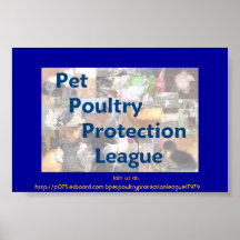 Pet Poultry Protection League Poster