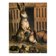Pet Rabbits and Baby Bunnies Eating Postcard