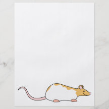 Pet Rat. Cinnamon and White, Hooded Variegated. Full Color Flyer