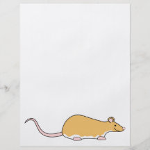 Pet Rat. Cinnamon Berkshire, White Belly. Personalized Flyer