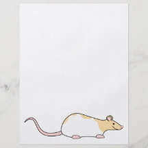 Pet Rat. Fawn and White Hooded Variegated. Flyers