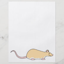 Pet Rat. Fawn Berkshire, White Belly. Full Colour Flyer