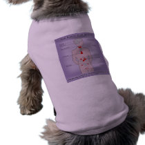 Pet Shirt - Endocrine System