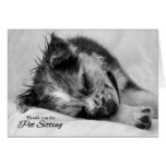 Pet Sitter Thank You Puppy Dog cards