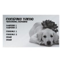 Pet Supply/Groomer/Etc. Business Card Template