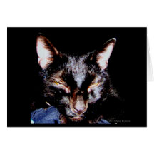 PET SYMPATHY BLACK CAT CARDS