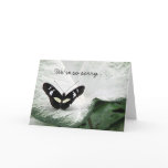 Pet Sympathy Greeting Card