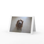 Pet Sympathy card