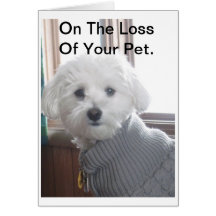 Pet Sympathy Card