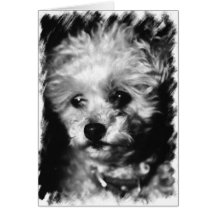 Pet Sympathy - Greeting Card