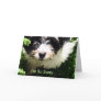 Pet Sympathy - Havanese Puppy. Card
