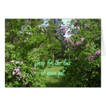 Pet Sympathy-lilac Bush Greeting Cards