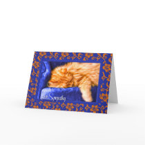 Pet Sympathy Loss of a Cat Greeting Card