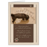 Pet Sympathy Loss of a Dog Deluxe Card