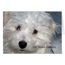 Pet Sympathy -  loss of a Dog Greeting Card