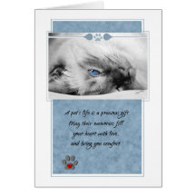 Pet Sympathy Loss of Cat Siamese Greeting Card
