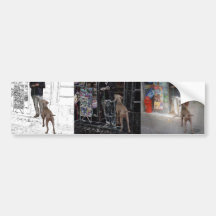 Pet Walker or Pet Sitter Bumper Stickers