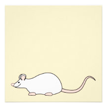 Pet White Mouse. Invitations