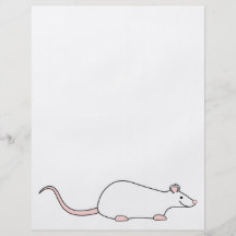 Pet White Rat Flyers