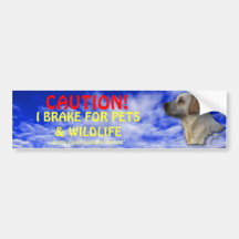 Pet & Wildlife Safety Bumper Sticker