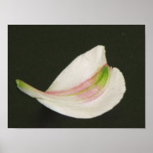 Petal 2 print