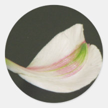 Petal 2 round stickers