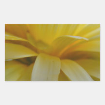 Petal Fringe Calendula Sticker