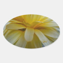 Petal Fringe Calendula Stickers