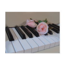 Petal Pink Keys