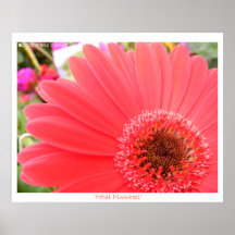 Petal Pinwheel Posters