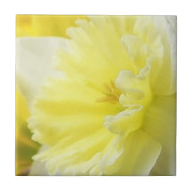 Petals - Daffodil Detail Ceramic Tiles