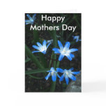 petals of blue, Happy Mothers Day cards