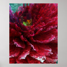 Petals Posters