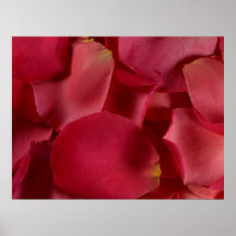 Petals Posters