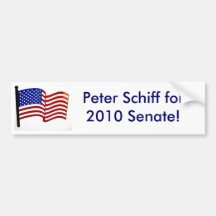 Peter Schiff for 2010 S... Bumper Sticker