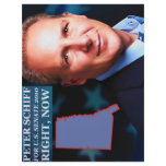 Peter Schiff for Senate flyers